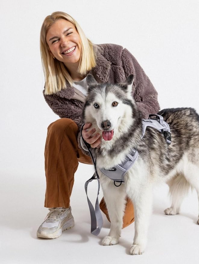 2025 New Edition, Fei & Eve Classic Dog Harness - Quick-Release Buckles | 3-Point No-Pull Control | Heavy-Duty 900D Nylon | Dual Safety Handles | Breathable Mesh | Adjustable Fit | X-Large,Gray