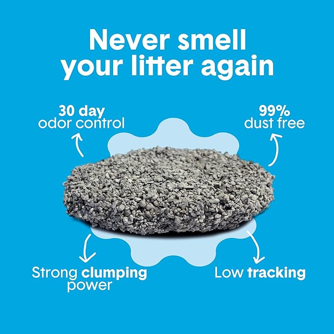 Boxie Unscented 30 Day Odor Control Clumping Clay Cat & Kitty Litter 28 lb, 99.9% Dust-Free, Hard Flat Top Clumps, No Fragrances No Fillers, Long-Lasting, Easy to Scoop