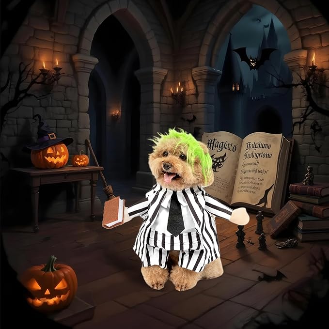 DELIFUR Dog Halloween Funny Costume - Pet Adorable Fantacy Clothes Cat Cosplay Apparel Dress Up for Small Medium Dog Funny Outfit Adjustable (Suit, Medium)