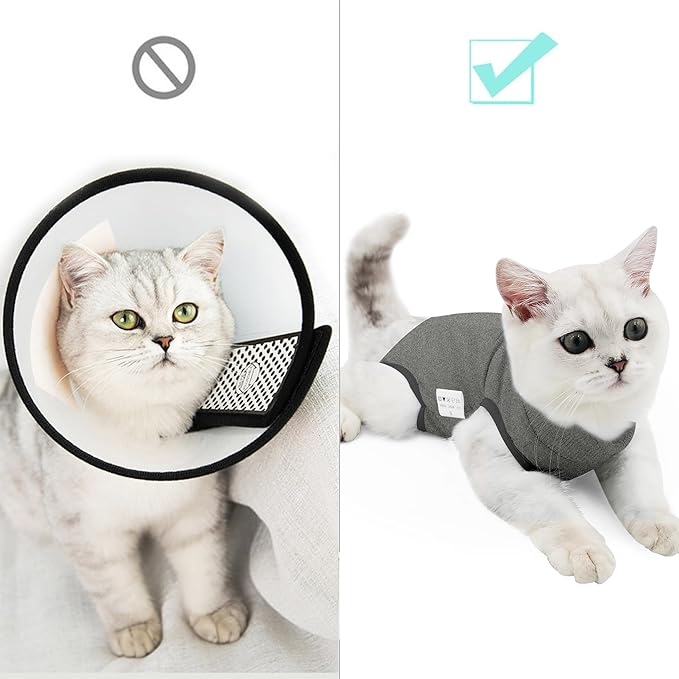 DOTON Cat Recovery Suit for Male and Female Surgical Post Surgery Soft Cone Onesie Shirt Clothes Neuter Licking Protective Diapers Outfit Cover Kitten Spay Collar(M, Grey)