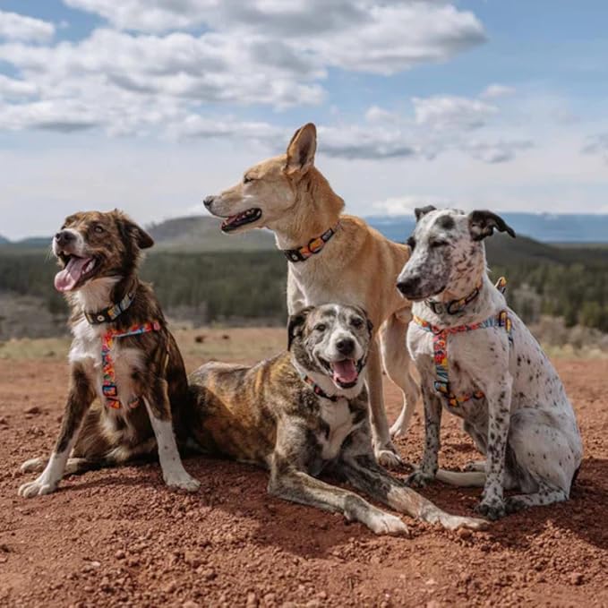 Wolfgang Heavy Duty Adjustable Dog Harness, Pull-Tested to Over 800 lbs for Walking & Training, PackLeader Print, Extra Large