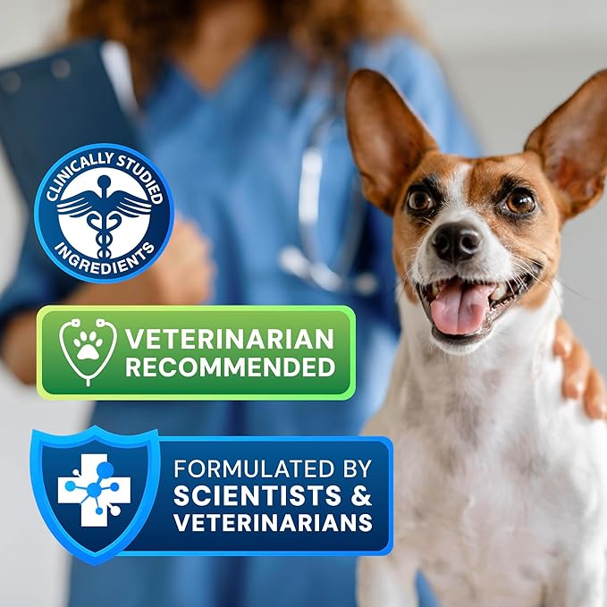 S boulardii + FOS for Cats and Dogs Probiotic Prebiotic - 30g