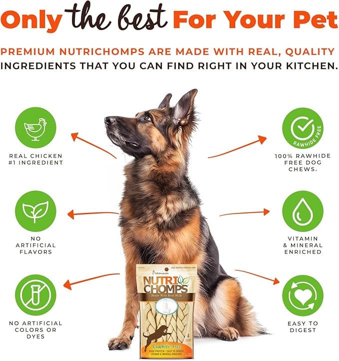 NutriChomps Dog Chews, 6-inch Braids, Easy to Digest, Rawhide-Free Dog Treats, Healthy, Real Chicken, Peanut Butter and Milk flavors, Pack of 4