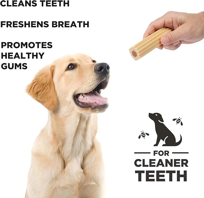 XL Pumpkin Dental Treats for Dogs - 18.3 oz Ñ Healthy, Vegetarian, Natural Pumpkin and Honey, Vegetarian Dog Chews, Made in The USA (Chew Sticks, Large Breeds)-Clean Teeth and Freshens Breath