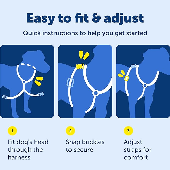 PetSafe 3-in-1 Harness - Comfortable Easy-Walk Dog Chest Harness with Front Leash Attachment to Reduce Pulling, Choking & Gagging - Dog Obedience Gear - Extra Small - Teal