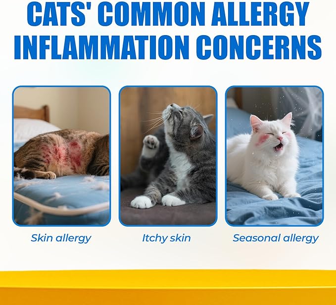 Just Try 300 Bites Allergy & Immune Bites for Cats - with L-Lysine & Quercetin for Itchy Skin Relief & Cat Allergy- Skin & Coat Health Eye Health- Grain Free Dietary Supplements for Pets