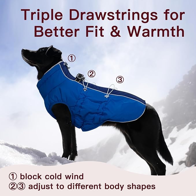 Small Dog Coat - Winter Jacket, Warm Zip Up Snowsuit, Reflective, Water-Resistant, Royal-Blue