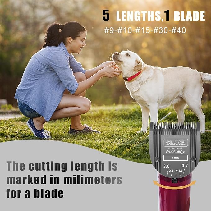 Adjustable Dog Grooming Clipper 5-in-1 Blade Compatible with WAHL Professional Animal Clipper Arco, Bravura, Chromado, Creativa, Figura, and Motion Pet, Dog, and Horse(Black)