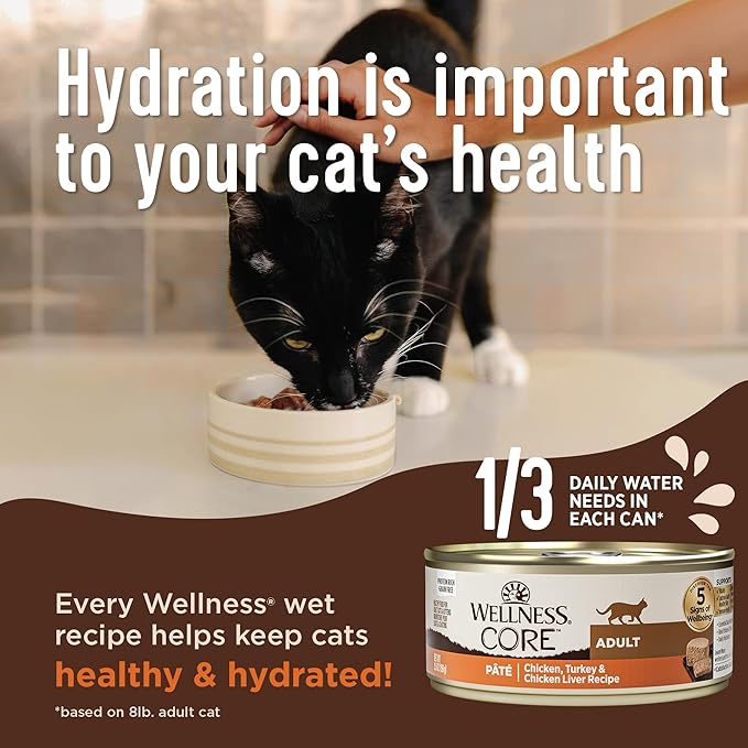 Wellness CORE Pate Kitten Wet Cat Food, Natural, Protein-Rich, Grain Free, 5.5 Ounce, 12 Pack (Turkey & Chicken Liver)