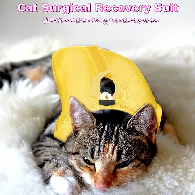 Nuanchu 3 Pieces Cat Recovery Suit Kitten Recovery Suit E-Collar Alternative for Cats and Dogs Abdominal Skin Anti Licking Pajama Clothes Sets(Large,Simple Style,Yellow Green Pink)