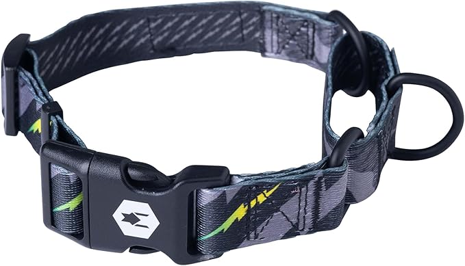 Wolfgang Heavy Duty Martingale Dog Collar with Quick Release Nylon Buckle for Walking & Training, DarkSkies Print, Large