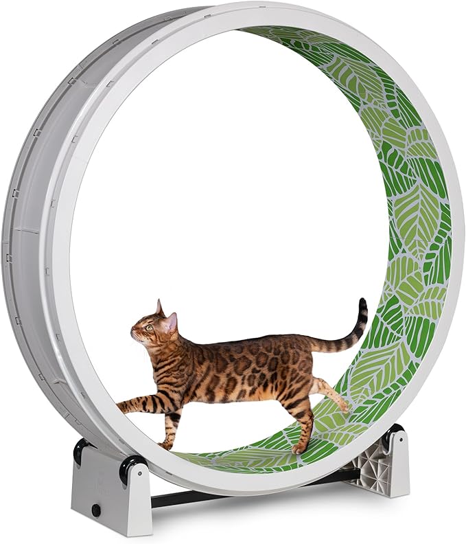 One Fast Cat - Cat Exercise Wheel - Gen. 7 - Safe 48" Diameter - Made in The USA - White Wheel with Jungle Leaves Foam Traction Pads and Solid Black Inline Wheels