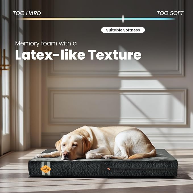 Laifug Orthopedic Memory Foam Pet(40"x 25"x 4",Black)/Dog Bed with Durable Waterproof Liner and Removable Washable Cover