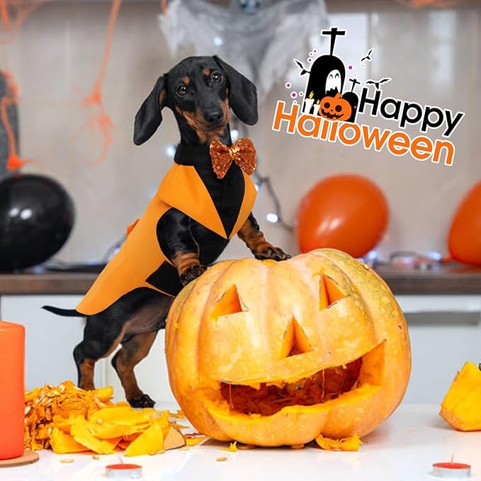 Kuoser Dog Tuxedo Suit and Bandana Set, Pumpkin Color Dogs Thanksgiving Outfit Adjustable Dog Halloween Costume with Bow Tie for Large Medium Small Dogs Golden Retriever Samo Bulldogs, S