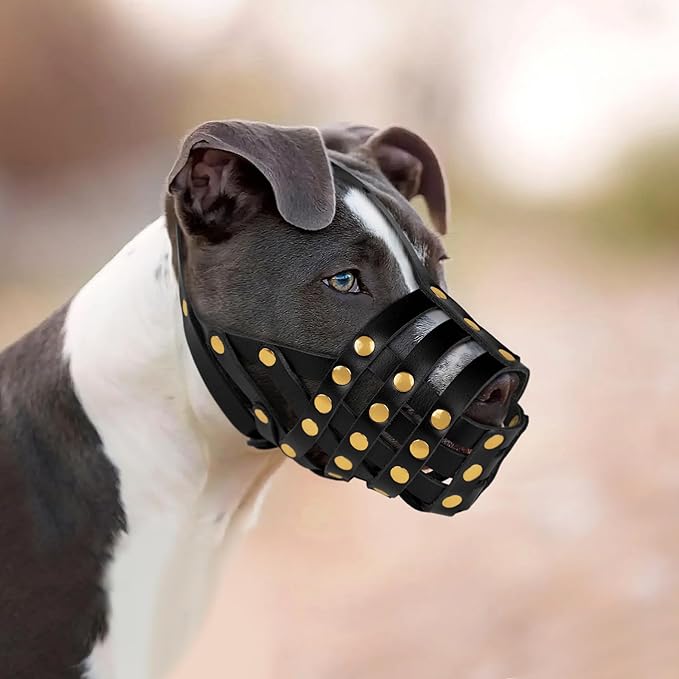 OOPSDOGGY Pitbull Dog Muzzle for Large Dogs - Leather Breathable Secure Basket Muzzle for Medium Large Breeds Prevents Biting No Chewing Amstaff Staffordshire Terrier (Black, Size 4 - Pitbull)