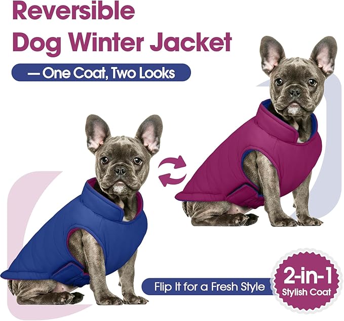 QBLEEV Reversible Dog Coat, Waterproof Winter Puffer Jacket with Leash Hole, Warm Dog Snow Gear for Medium Dogs Cold Weather, Adjustable French Bulldog Padded Vest for Outdoor Walks, Violet, L