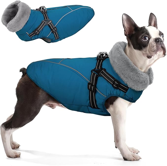 Queenmore Dog Jackets for Large Dogs, Dog Coat with Harness Built in,Waterproof Dogs Coats with Zipper On Back,Warm Fleece Lining Cold Weather Pet Coats with Furry Collar for Labrador,Blue,L