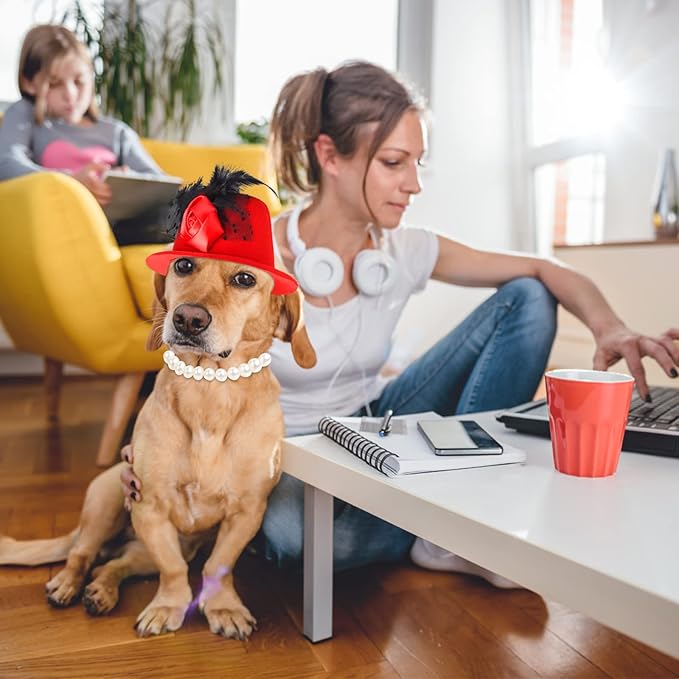 Yewong Pet Fascinators Hat Formal Top Costume Set Mesh Feather Fascinator Veil Kentucky Derby with Pearl Collar for Christmas Weeding Photo Props Party (Red) (BH-YF0090)