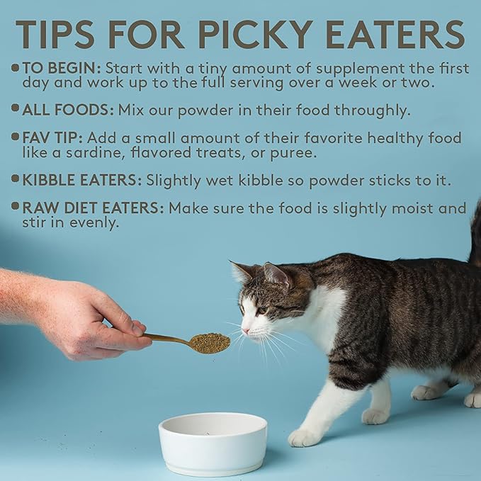 The Missing Link Pet Kelp Feline Well-Being 6oz Superfood Powdered Supplement, Organic & Limited Ingredient Formula for Digestive & Overall Health of Cats