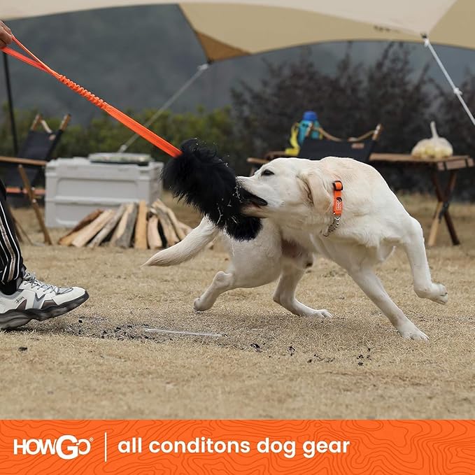 HOWGO Dog Rope,Dog Bungee Chaser 100% Sheepskin,Sheep Smell Tug for All Breeds(Green, Long Without Ball 2Pack)