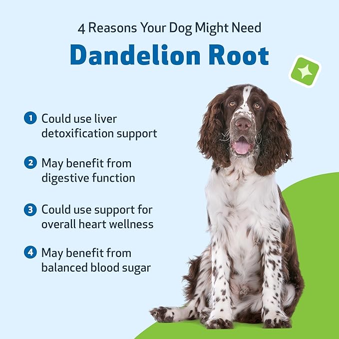 Pet Wellbeing Dandelion Root for Dogs - Liver & Heart Health, Digestive Function, Blood Sugar Support, Certified Organic - Veterinarian-Formulated Herbal Supplement 4 oz (118 ml)
