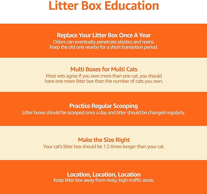 Amazon Basics Large Cat Litter Box with High Sides, Open Top, Includes Scoop, 19 x 15 x 11.75 inches, Grey/Beige