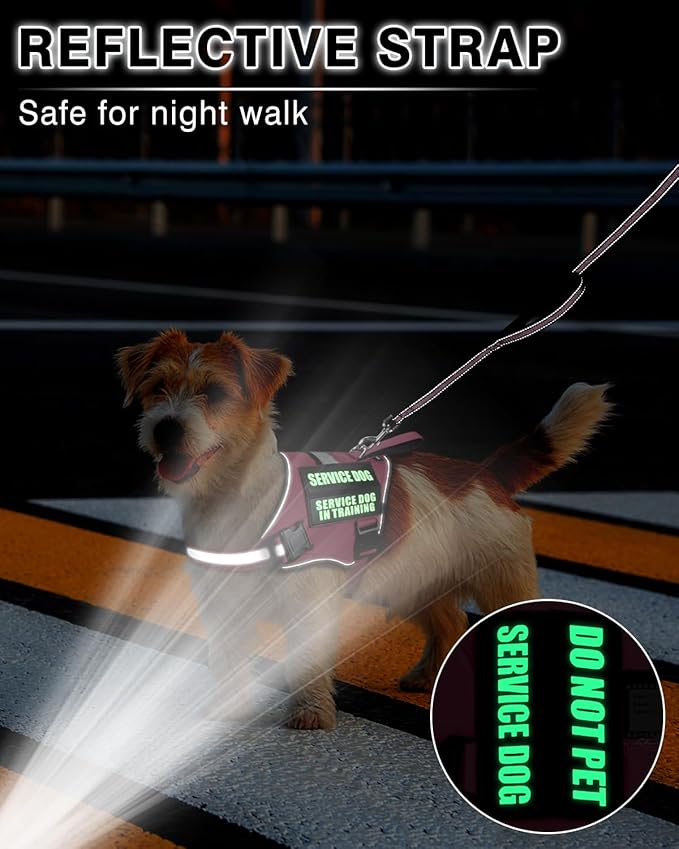 Service Dog Vest Harness and Leash Set+10 Patches for Puppy Small Dogs,Do Not Pet Emotional Support Dog Vest with 2 Soft Padded Handle for Everyday/Training (Pink XS)