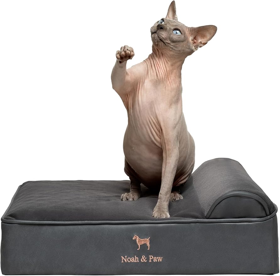 NOAH & PAW Small Dog Bed, 20x15x6.5 Inch, Cat Bed for Indoor Cats, Orthopedic Eggshell Memory Foam Infused with Cooling Gel, Waterproof, Machine Washable, Includes Inner Cover (Faux Leather)