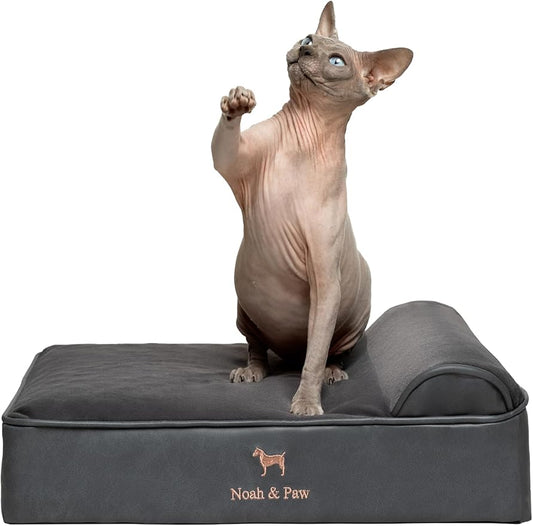 NOAH & PAW Small Dog Bed, 20x15x6.5 Inch, Cat Bed for Indoor Cats, Orthopedic Eggshell Memory Foam Infused with Cooling Gel, Waterproof, Machine Washable, Includes Inner Cover (Faux Leather)