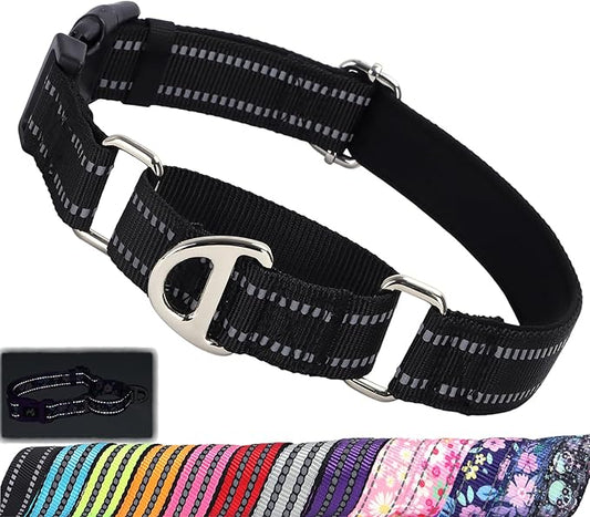Martingale Collar for Dogs - Reflective Nylon, No Slip Choke Heavy Duty Collar with Quick Release Buckle- Safe Fit for Training & Walking Black M