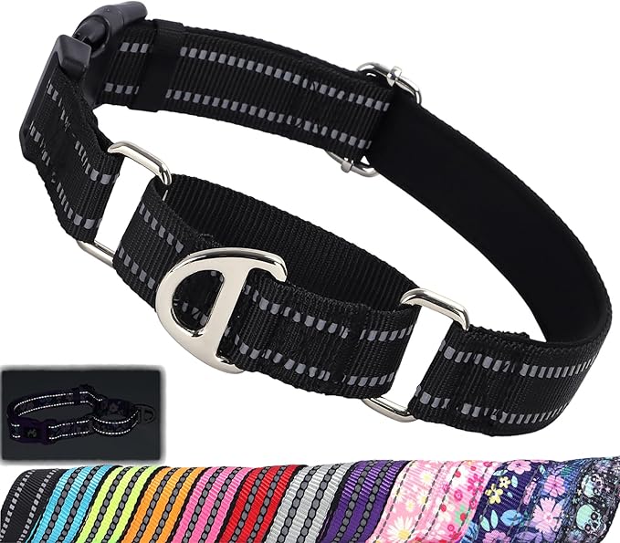 Martingale Collar for Dogs - Reflective Nylon, No Slip Choke Heavy Duty Collar with Quick Release Buckle- Safe Fit for Training & Walking Black L