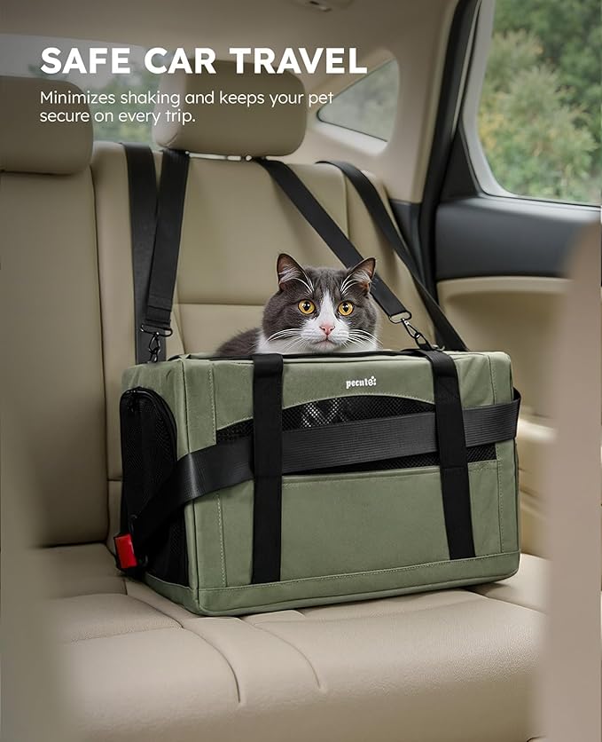 pecute Cat Carrier Stable, Pet Carrier Breathable and Portable, Cat Carriers Bag with Scientific Hidden Partition, Carriers for Cat Under 5kg, Dog Carrier Suitable for Travel and Outing, Green