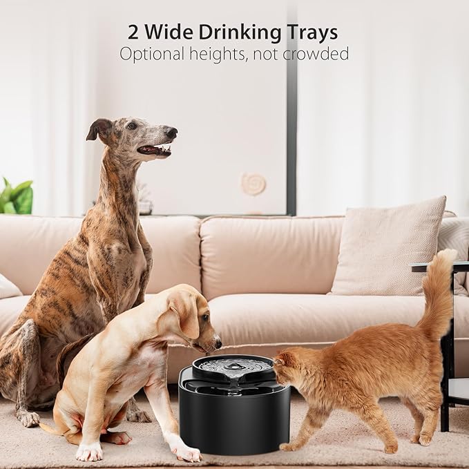 iPettie Waterfall Dog Water Fountain, Hygienic 5-Stage Filtered Water, 2 Heights to Drink from, Water Shortage Alert, Night Light with ON/Off Switch, Cat Water Fountain 203 OZ (1.6 GAL) 6 L