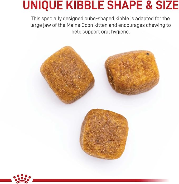 Royal Canin Maine Coon Breed Dry Kitten Food, 3 lb bag