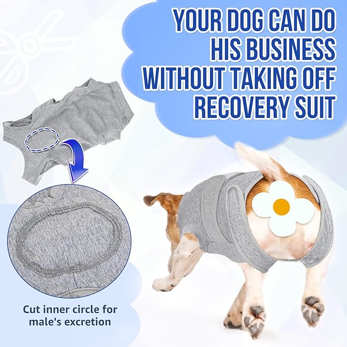 Lukovee Recovery Suit for Dogs - Zipper Onesie for Female/Male Dogs, Abdominal Wounds Cone E-Collar Alternative, Prevent Licking - Spay Recovery Suit (X-Small, Grey)