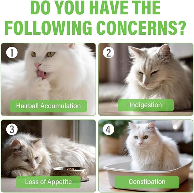 Cat Grass Treats, Natural & Health Cat Treats, Natural Hairball Relief & Teeth Cleaning Chews for Indoor Cats