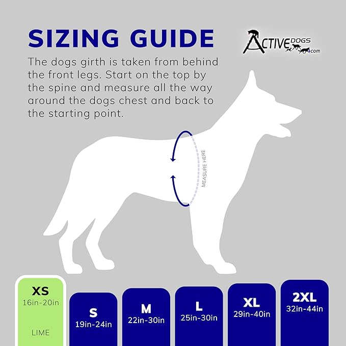 ActiveDogs Full Service Dog Kit - XS Lime - Service Dog Vest Harness with Handle, Service Dog ID, ID Holder, ADA Service Dog Cards, Medical Alert Keychain, Service Dog Leash & Service Dog Patches