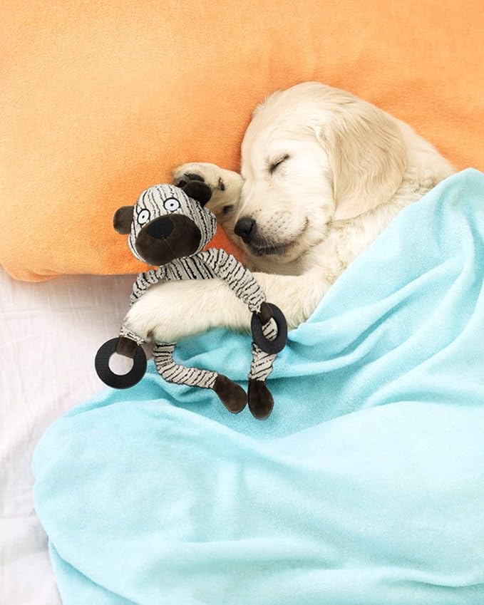 HGB Squeaky Puppy Toys, Plush Puppy Chew Toys for Teething, Dog Toys for Small Dogs, Small Dog Toys for Small Breed, Cute Bear Interactive Dog Toys for Pet Training and Entertaining