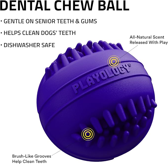 Playology Dog Toys | Dental Chew Ball Gentle on Gums | Jumbo Pork Sausage Scented Toy - Easy to Clean and Made from Non Toxic Materials