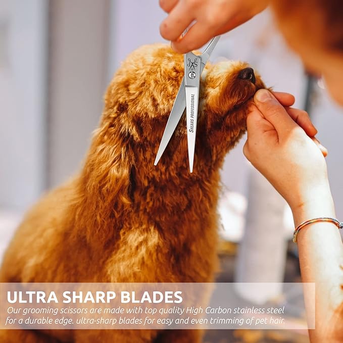 Hair Cutting Scissors, All Purpose 8 Inch Stainless Steel, Sharp Edge Blades, Dog Grooming Scissors, Hairdressing Texturizing Salon Razor Edge Scissor, Hair Shears for Barber Scissor