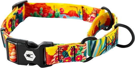 Wolfgang Heavy Duty Martingale Dog Collar with Quick Release Nylon Buckle for Walking & Training, PackLeader Print, Medium