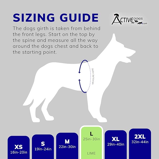 ActiveDogs Full Service Dog Kit - Large Lime - Service Vest Harness with Handle, ID Holder, ADA Cards, Medical Alert Keychain, Leash & Patches