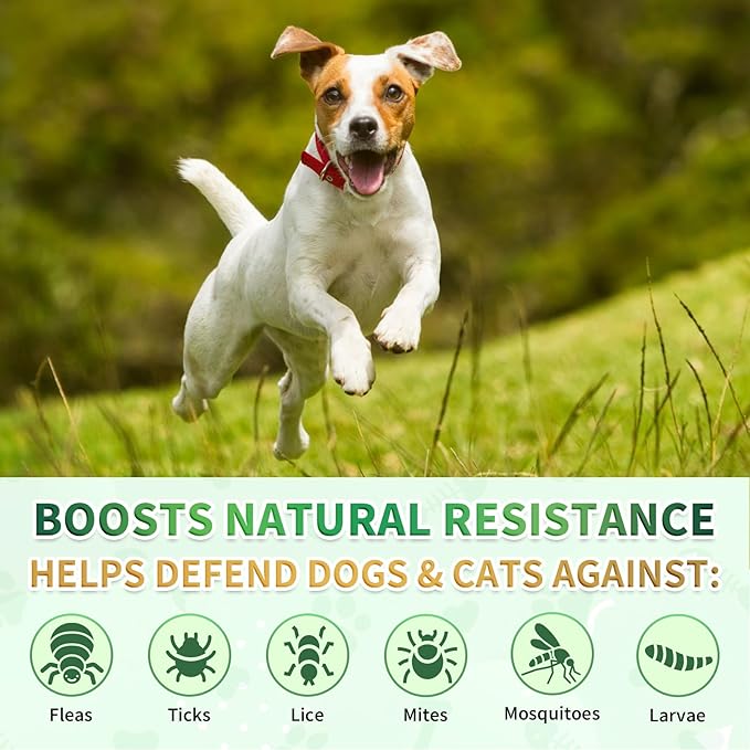 Oral Flea & Tick Prevention for Dogs and Cats, Natural Flea and Tick Defense Drops with Multivitamin for Pets - Supports Healthy Skin & Coat - Flea Herbal Drops All Breeds and Sizes - Bacon Flavor