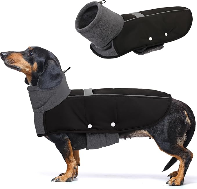 ASENKU Dog Coat, Dog Winter Jackets with Fleece Turtleneck, Windproof, Reflective Pet Snow Jacket Doggie Vest for Cold Weather, Coats for Medium Dogs, Black, M