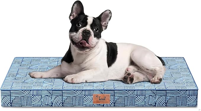 Waterproof Outdoor Orthopedic Dog Bed - All Weather Medium Pet Bed with Egg Crate Foam, Removable Washable Cover, 30x20 Inch, White Blue