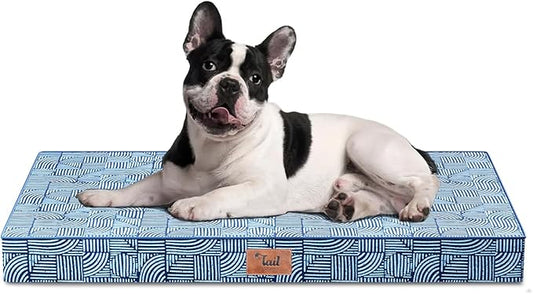 Waterproof Outdoor Orthopedic Dog Bed - All Weather Medium Pet Bed with Egg Crate Foam, Removable Washable Cover, 30x20 Inch, White Blue