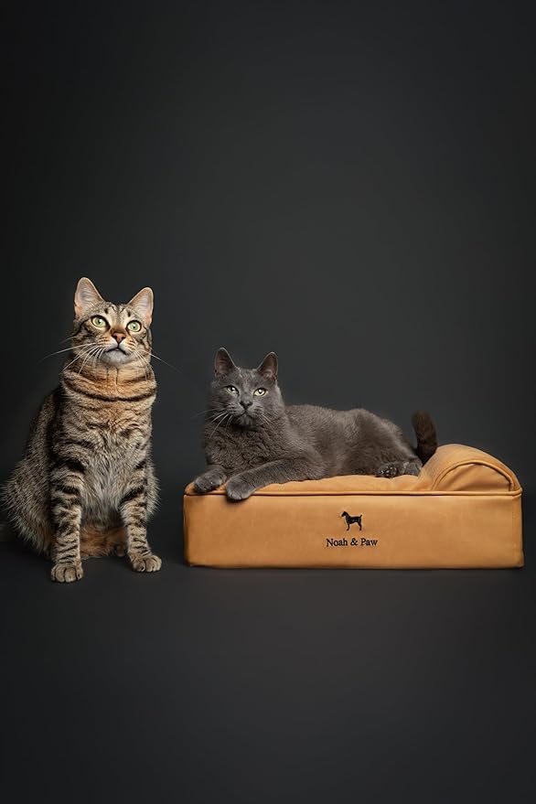 NOAH & PAW Small Dog Bed, 20x15x6.5 Inch, Cat Bed for Indoor Cats, Orthopedic Eggshell Memory Foam Infused with Cooling Gel, Waterproof, Machine Washable, Includes Inner Cover (Faux Leather)