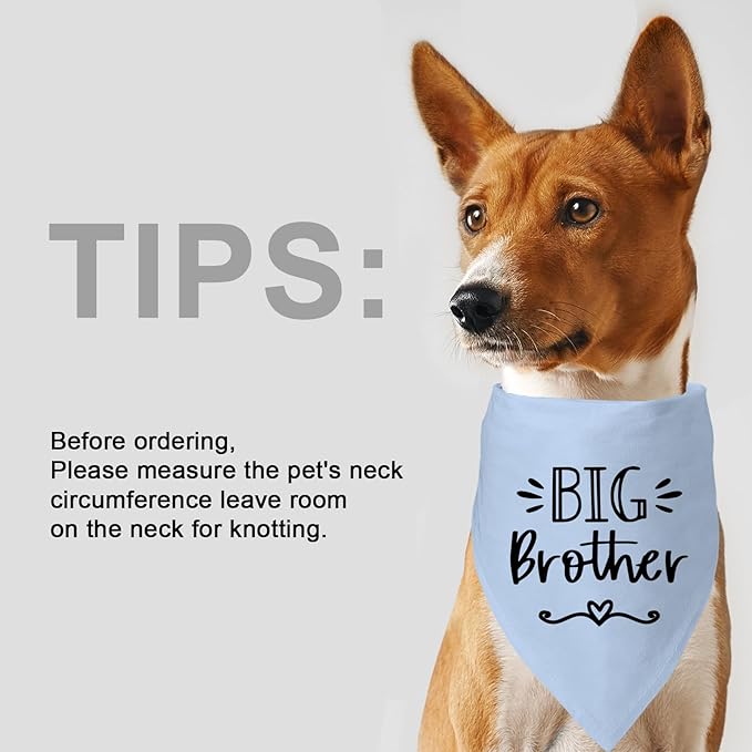 Big Brother Dog Bandanas, Pet Dog Triangle Scarf for Small Medium Large Pet, Baby Announcement Dogs Bandana Pets Scarf (Big Brother)