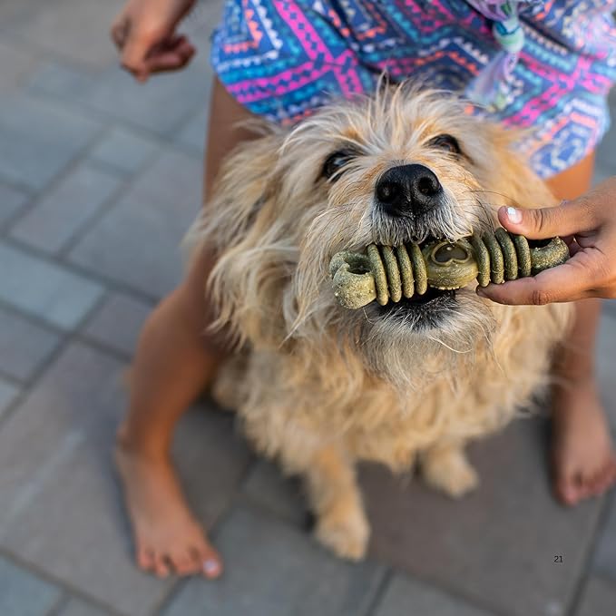 Loving Pets Ora-Bone™ Dental Chews for Dogs – USA Made Dog Dental Sticks with Parsley & Mint – Patented Shape to Reduce Plaque, Tartar, Massage Gums & Freshen Breath (Medium Dogs 14 oz.)