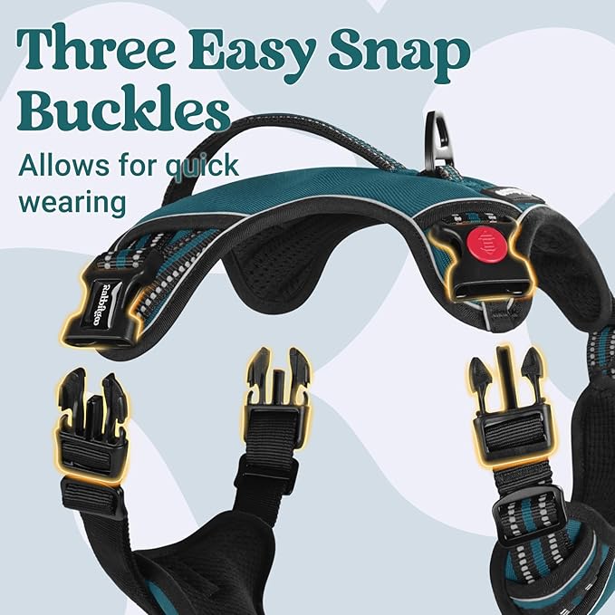 rabbitgoo Dog Harness Small Sized Dog, No Pull Pet Harness with Soft Padded Handle, Adjustable Reflective Vest with 3 Buckles, Easy Walking Harness with 2 Leash Clips, Green, S